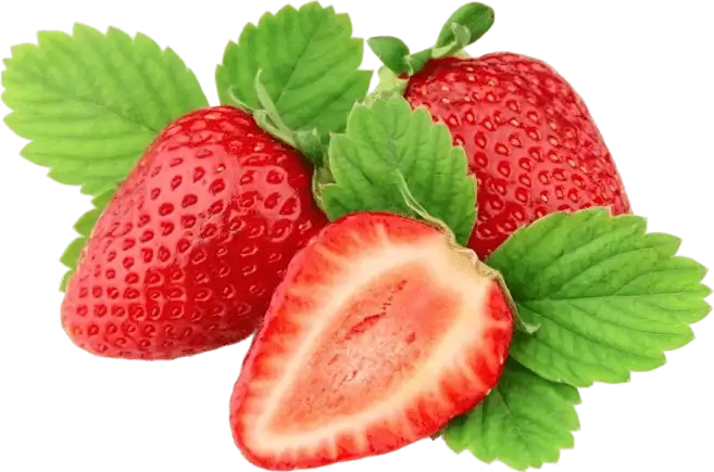 ProDentim Ingredient Malic Acid (from Strawberries)